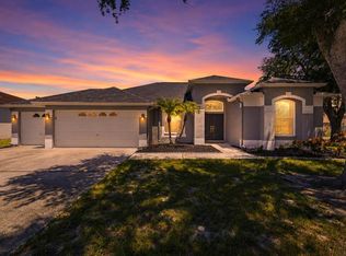 12020 RUNNING FOX CIRCLE, RIVERVIEW, FL 33569