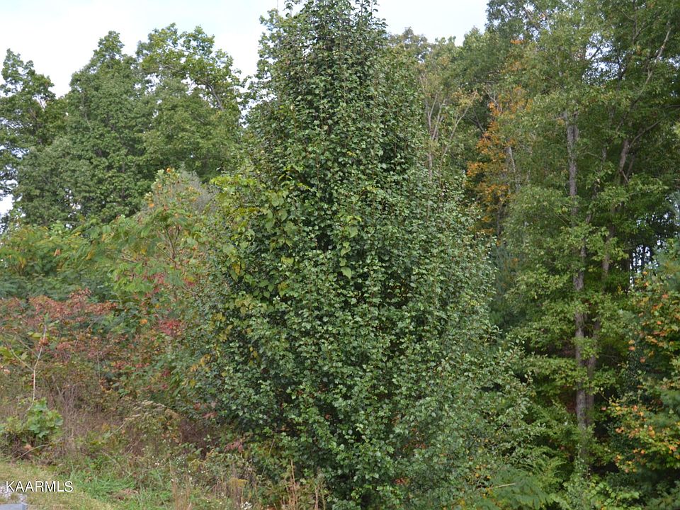 2nd image of 0 Foxfire Rd Lot 6