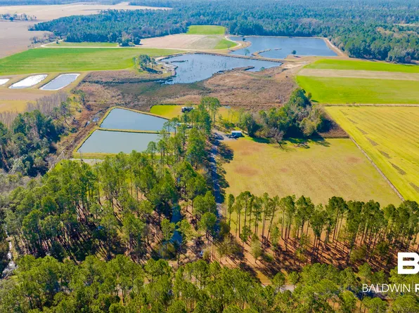 22210 Pastoral Ln, Foley, AL 36535