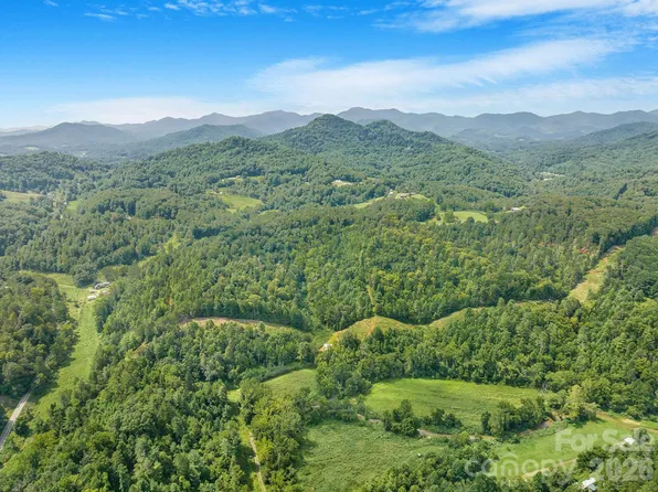99999 Meadows Town Rd, Marshall, NC 28748