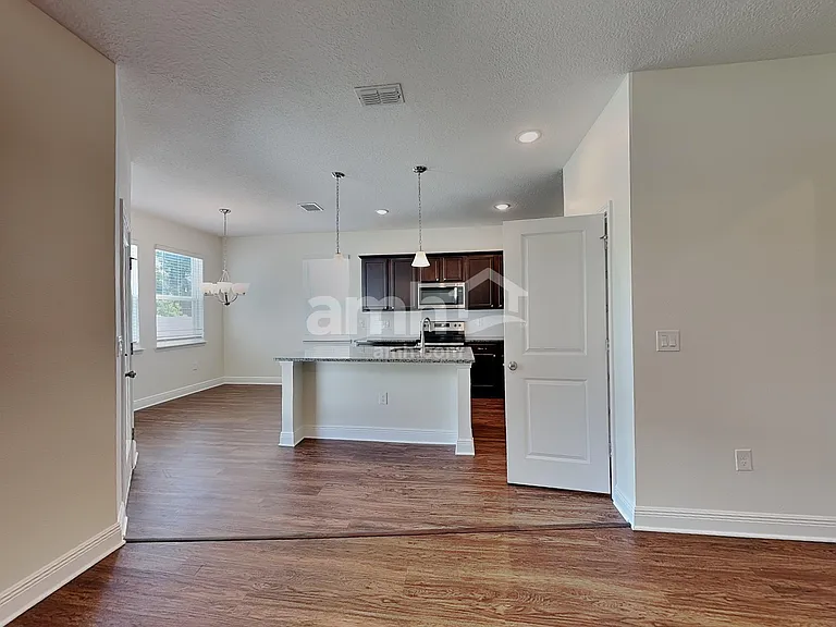 1367 Celery Palm Cv — Photo 6