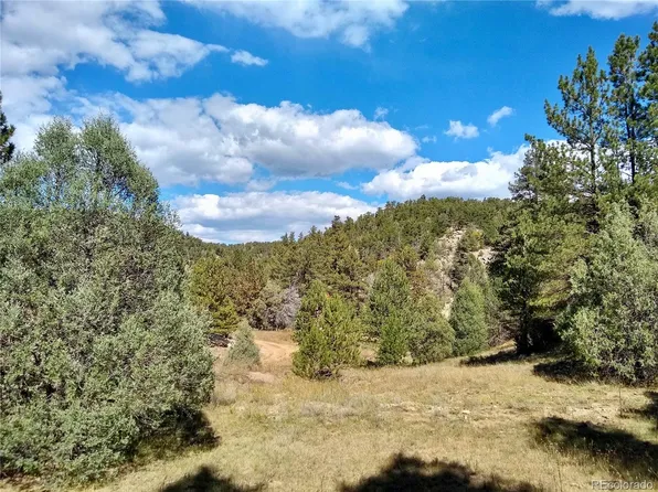 426 Alden Lane LOT 236/235, Texas Creek, CO 81223