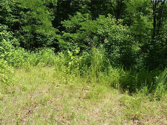 5th image of 14 Timber Park Dr