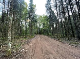 3 Fadness Rd, Winter, WI 54896