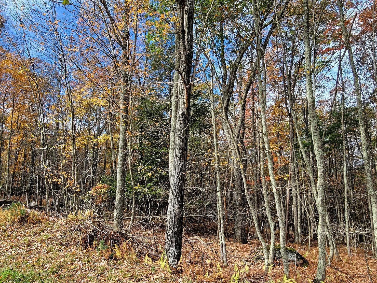 25 Wood Oak Dr, Narrowsburg, NY 12764 Zillow