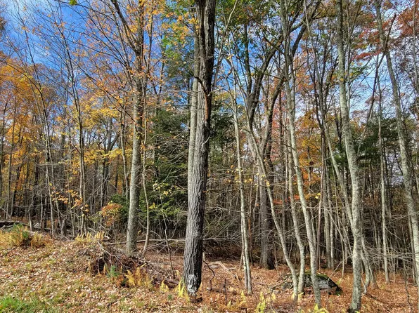 25 Wood Oak Dr, Narrowsburg, NY 12764