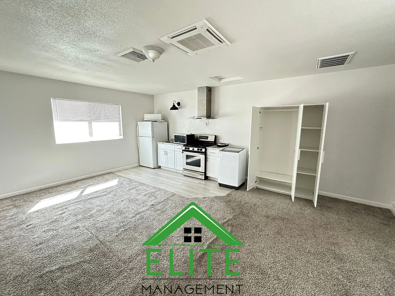 Studio, 250 sqft, $1,395 — Photo 3