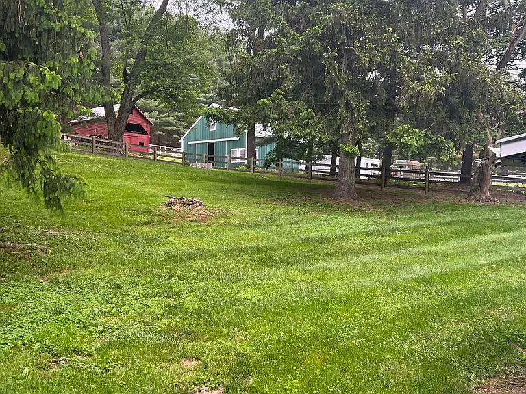 Large Fenced Lawn