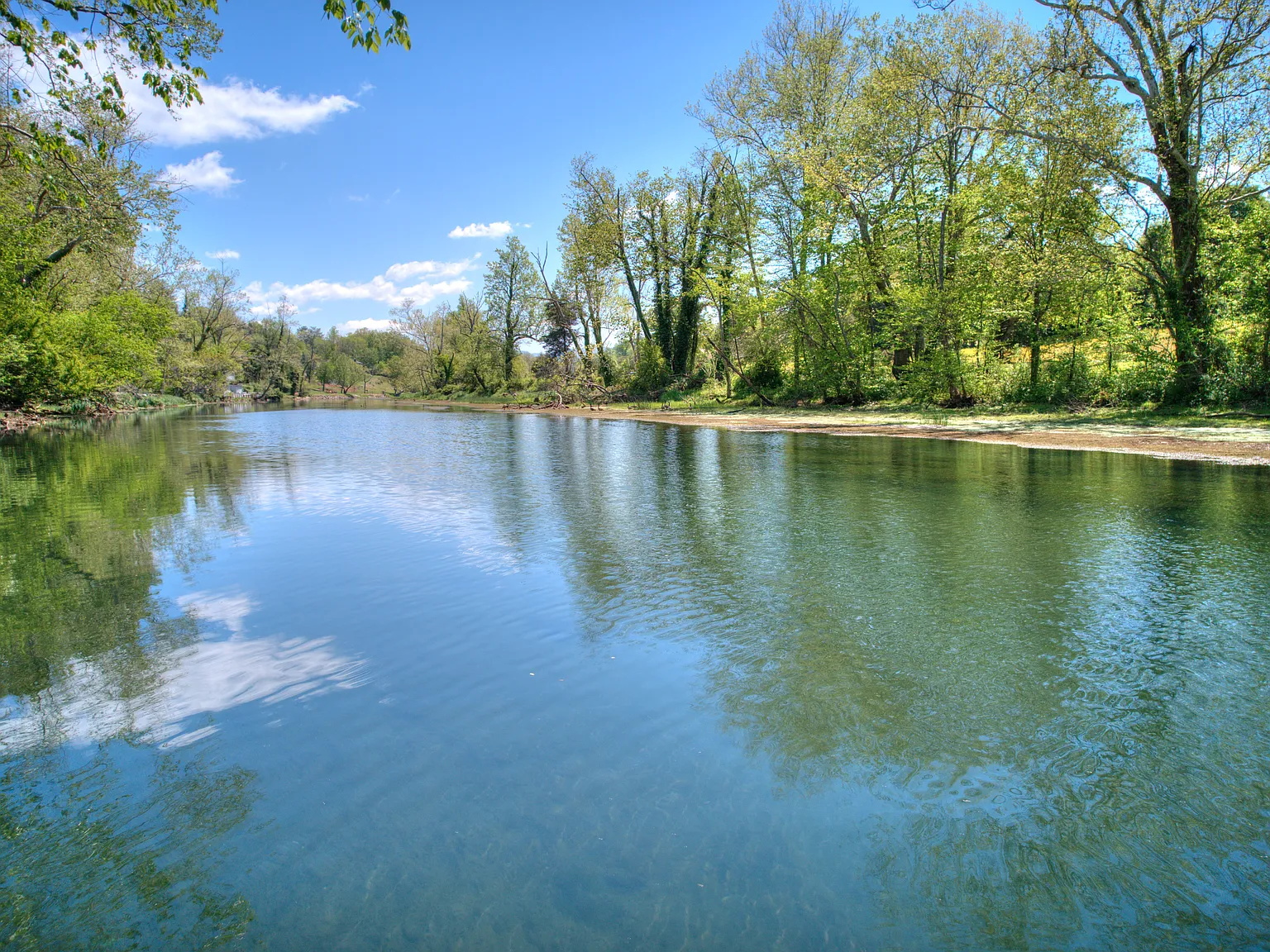 3 bed, $2,750 — Photo 4