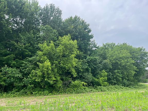 3rd image of LOT 4 Hemingway Ave