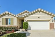 Wedelia St-S0810-001.jpg
