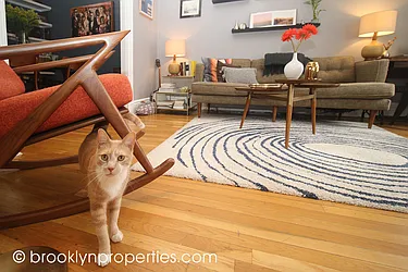 Rented by Brooklyn Properties