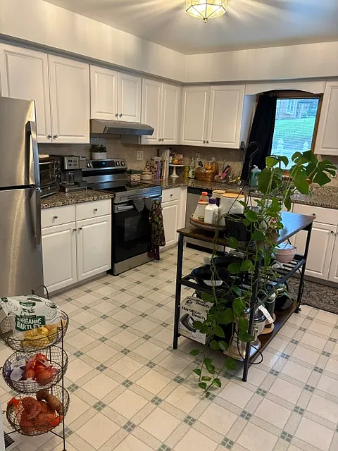 529 Susan Dr — Photo 4