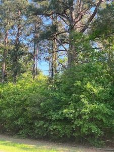 0 Raehyo Ln, Folsom, LA, 70437