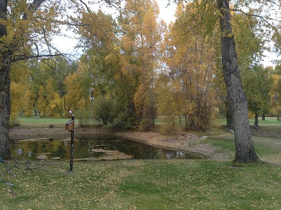 our view of the backyard