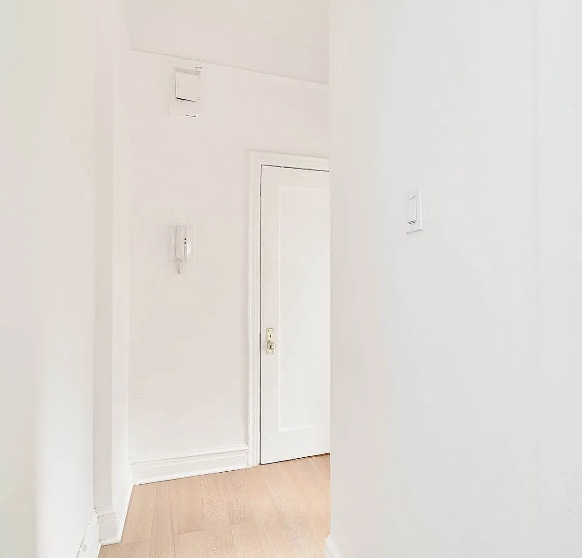 862 Union Street — Photo 4