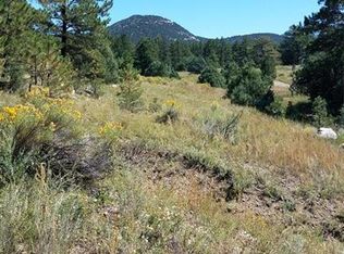 G Mb Path, Cotopaxi, CO 81223