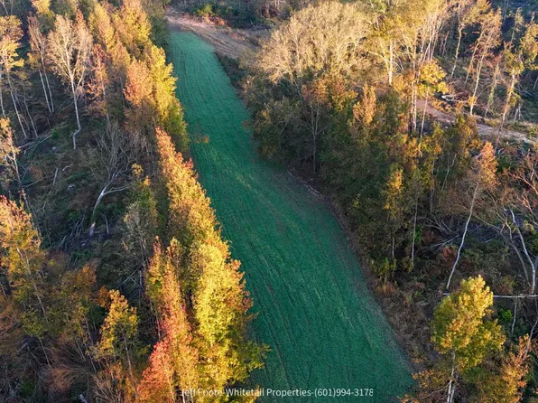Rodney Rd Lot Wp003, Pt Gibson, MS 39150