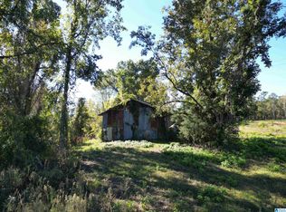 0 Payne Lake Rd #1, Brent, AL 35034