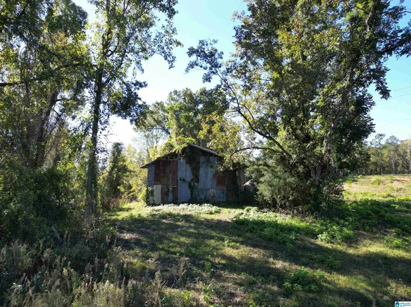 0 Payne Lake Rd #1, Brent, AL 35034