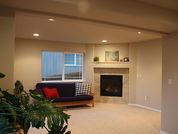 Lower level family room