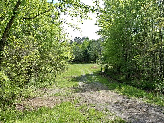 2nd image of 10964 Old Cox Pike Lot 1