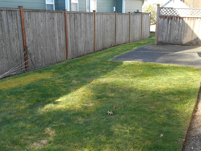 773 Mahonia Dr — Photo 11