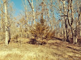 Albany Dr, Lake Ozark, MO 65049