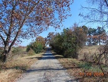 2nd image of 411 Rabbit Hill Rd