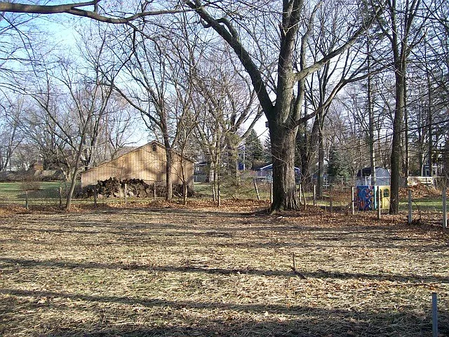 Property photo 5