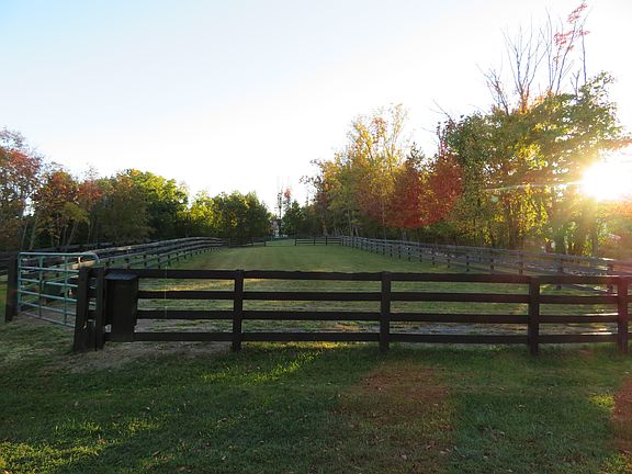 Turn Out Paddock