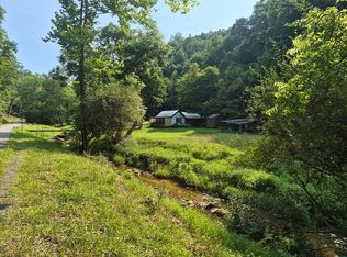 390 Lower Level Run Rd, Cedarville, WV 26611
