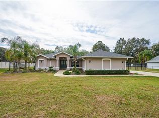 11709 Elm St, San Antonio, FL 33576