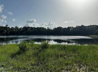 0 Malauka Loop LOT 19, Ocklawaha, FL 32179