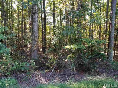 148 Rawhide Dr, Louisburg, NC, 27549