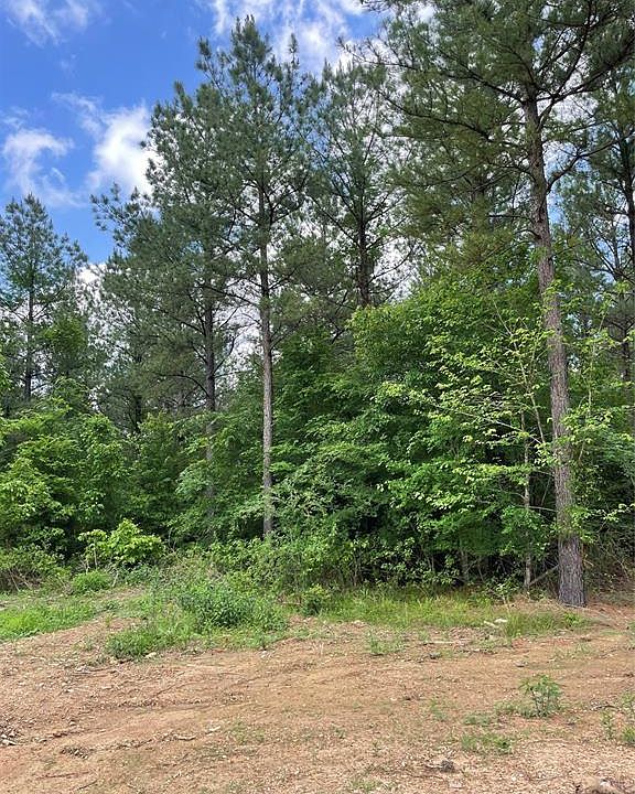 2nd image of 699 Timber Creek Trl