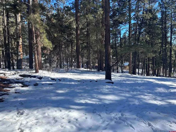 1419 Deer Ridge Drive, Bayfield, CO 81122