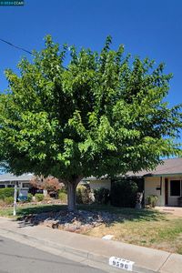 9596 Brockton Ave, San Ramon, CA, 94583