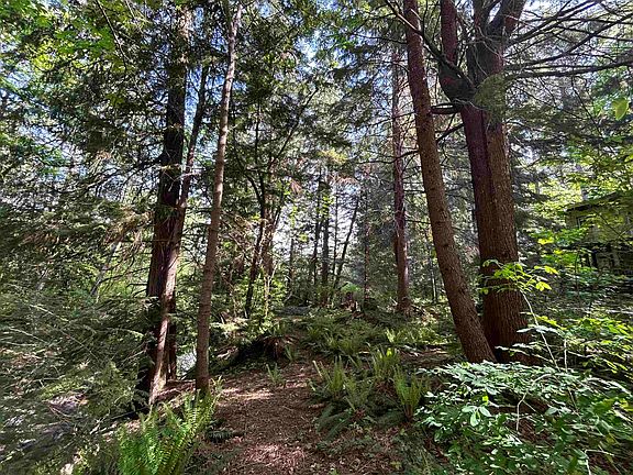 4th image of 9063 Paradise Valley Rd