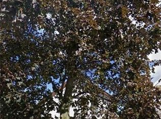 119 14th St, Buffalo, NY 14213