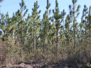 LOT 23 Tidwell Rd, Milton, FL 32571