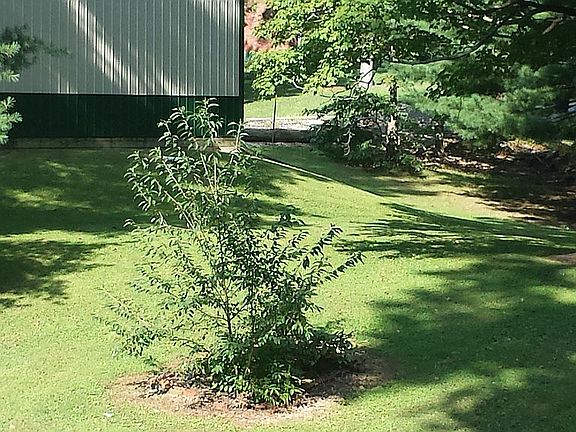 4th image of 1875 Pin Oak Dr NE