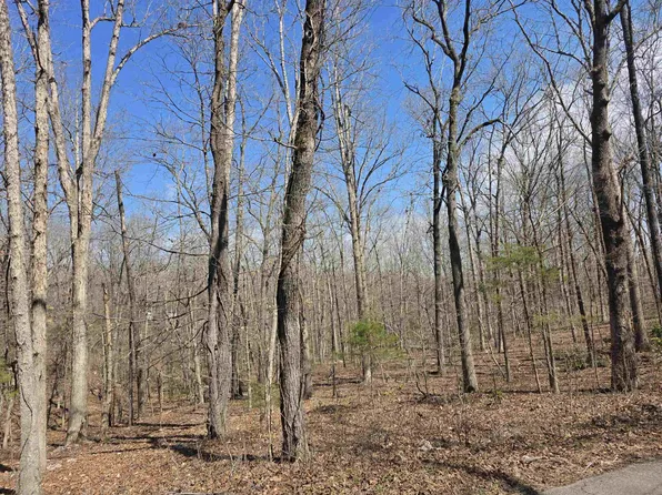 L18-B4 Powhatan Dr, Cherokee Village, AR 72529