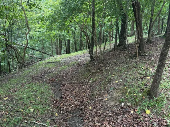 422 Zeblin Rd, Ellijay, GA 30540