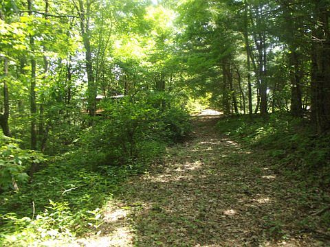Cleared Trail