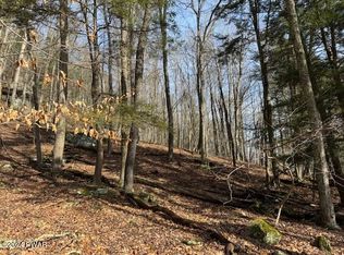 River Rd, Milanville, PA 18443