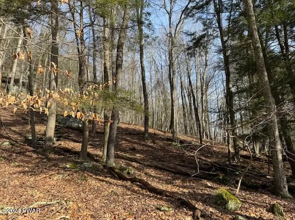 River Rd, Milanville, PA 18443