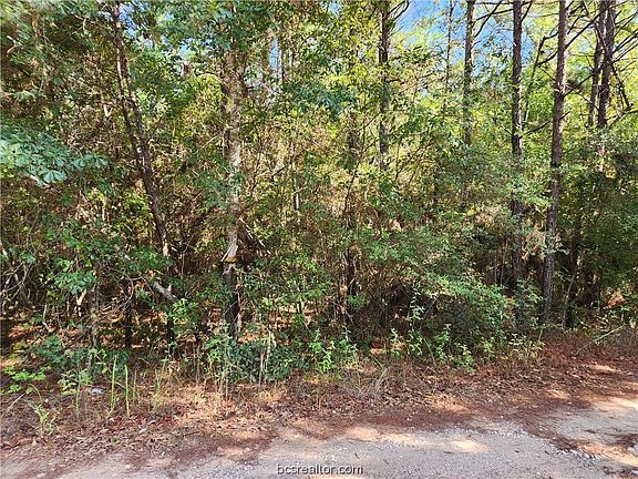 4th image of LOT 17 Tawnyberry Ln