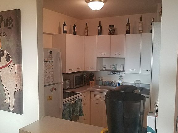 4th image of 1255 N Sandburg Ter Unit 1705