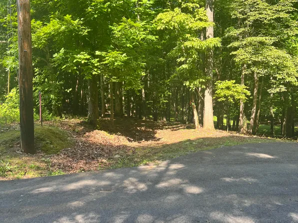 3841 Poplar Ln, Kodak, TN 37764